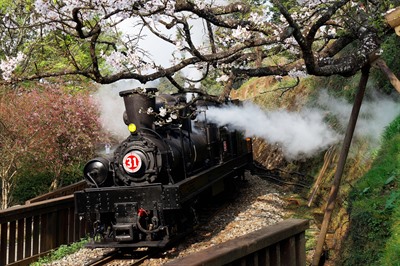 The Best Train Journeys in Europe and Beyond