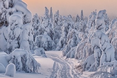 Lapland