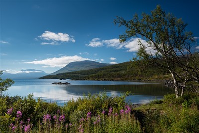 Abisko National Park