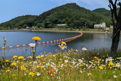 Asamushi Onsen