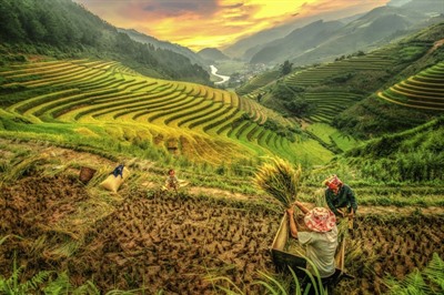 Banaue