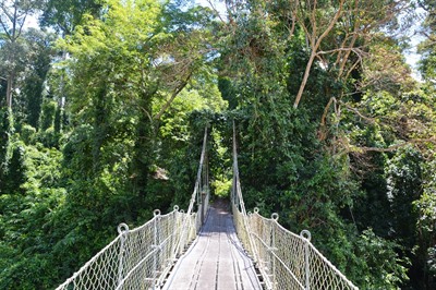 Danum Valley Conservation Area