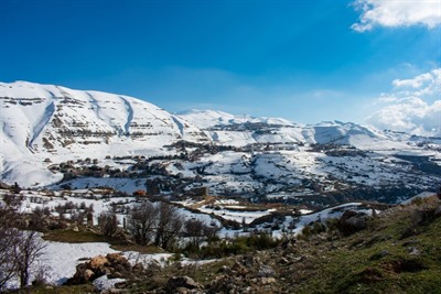 Faraya