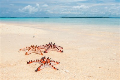 Kavieng