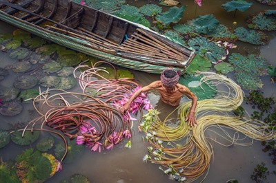 Mekong Delta