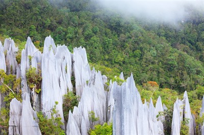 Mulu National Park