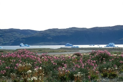 Narsarsuaq