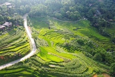 Pu Luong