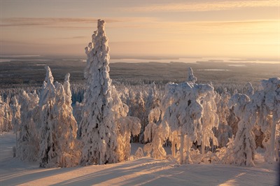 Vuokatti