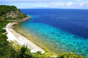 Apo Island