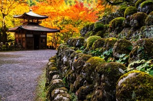 Otagi Nenbutsuji temple