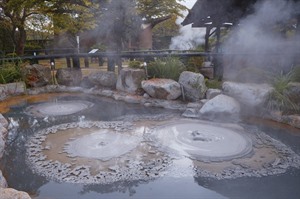 Beppu Jigoku Tour