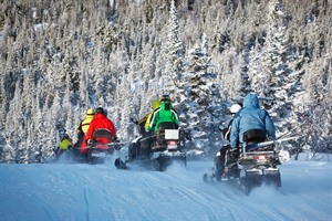 Easy Snowmobile Safari 1