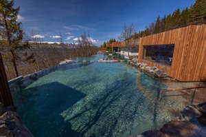 Infinity pool - Forest Lagoon