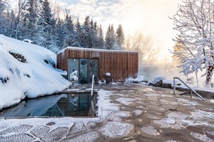 Sauna and cold pool - Forest Lagoon
