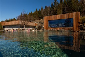 Forest Lagoon