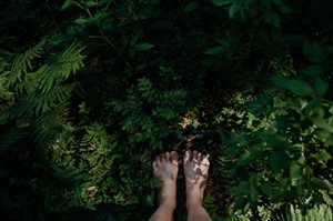 Forest Bathing