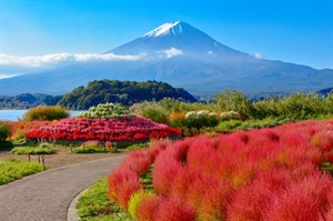 Lake Kawaguchi