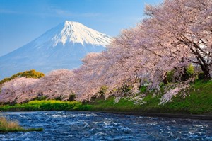 Fuji Hidden Lake Cycling Tour