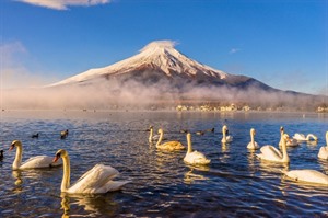 Lake Yamanaka