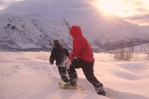 Guided Snowshoe Trip on Tromsø Island 1