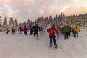 Snowshoe chase