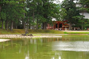Motsu-ji temple garden