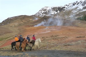 Horse riding tour & Hot Springs 4