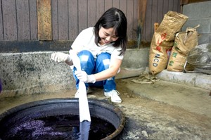 Indigo Dyeing at Tanaka Kasuri Workshop
