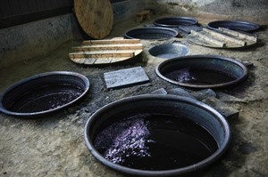 Indigo Dyeing at Tanaka Kasuri Workshop