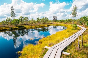 Kemeri National Park & Jurmala 1