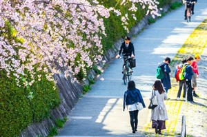 Kamogawa