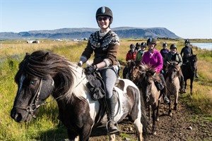 Iceland Lava Horse Riding Tour 3