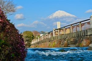 Mt Fuji