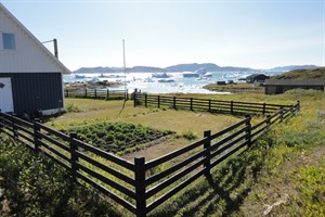 Narsaq - Hike along the Dyrnaes Peninsula 1