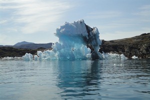 Narsarsuaq - Qooroq Ice Fjord 1