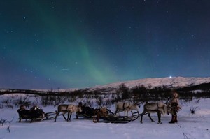 Northern Lights & Reindeer Sledding 2