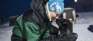 Northern Lights Dog Sledding 3