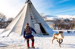 Sami reindeer camp