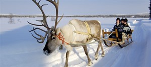 Reindeer Safari to Ice Fishing Lake 1