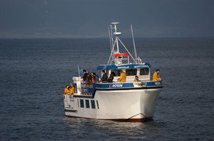 Fishboat in Iceland
