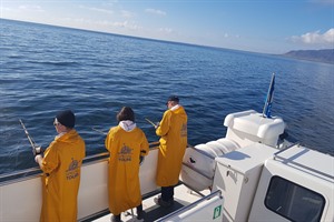 Sea angling