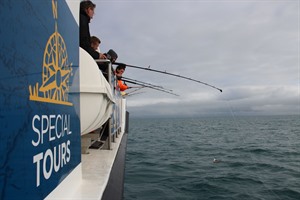 Sea angling