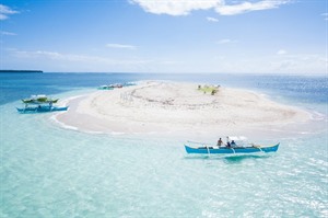 Naked Island