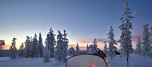 Snowmobile safari & reindeer sleigh ride 1