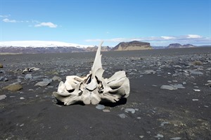 South Iceland