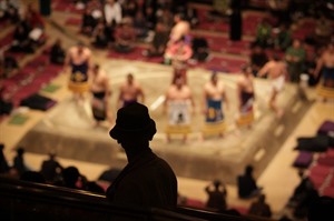 Sumo Training Experience