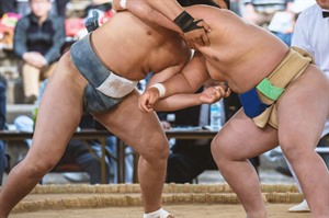 Sumo Training Experience