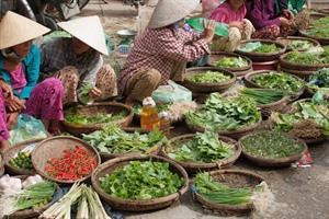 Hoi An Market