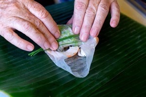 Fresh Spring Rolls